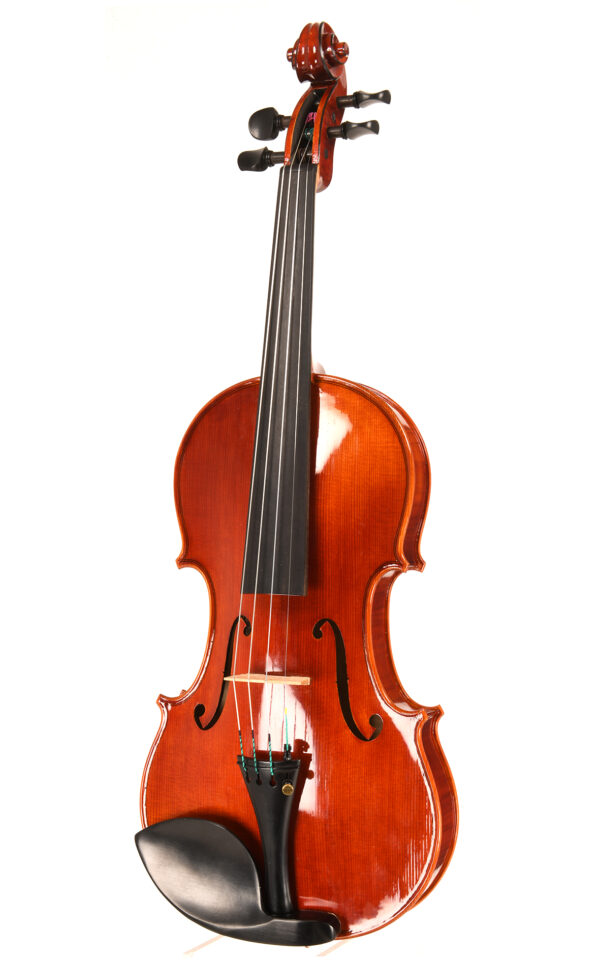 Violino  Officina Mauro Lucini, Cremona 2023 - VENDUTO - immagine 2