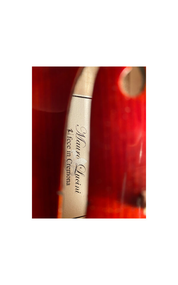 Violino  Officina Mauro Lucini, Cremona 2023 - VENDUTO - immagine 8