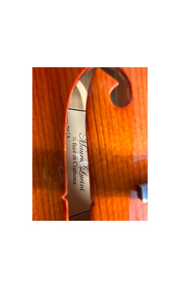 Officina Mauro Lucini violino no. 15, Cremona 2023 - VENDUTO - immagine 4