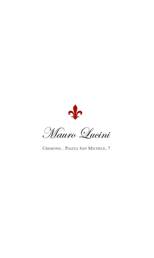Violino no. 24 Officina Mauro Lucini, Cremona 2024 - VENDUTO - immagine 8