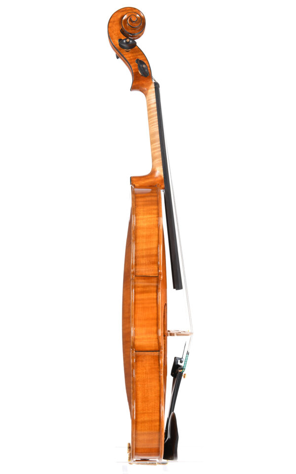 Violino Officina Mauro Lucini no.23, Cremona 2024 - VENDUTO - immagine 3