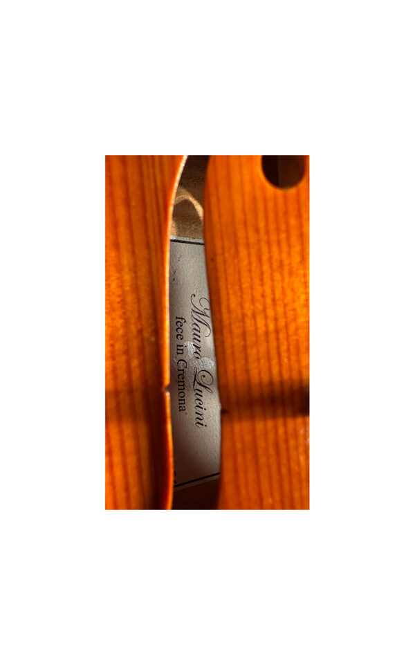 Violino no. 36 Officina Mauro Lucini, Cremona 2024 - VENDUTO - immagine 8