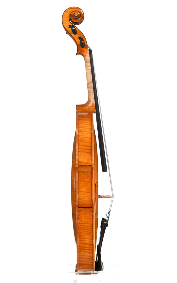 Violino no. 30 Officina Mauro Lucini, Cremona 2024 - VENDUTO - immagine 4