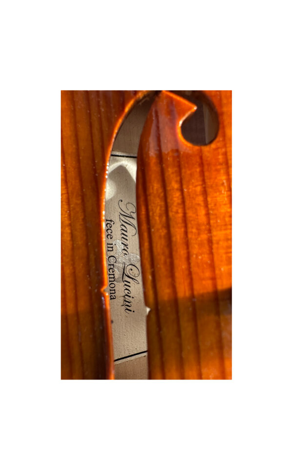 Violino di Cremona secondo Antonio Stradivari, Officina Mauro Lucini n.72 - immagine 8